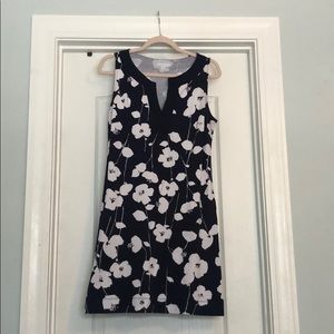 NY&Co shift dress